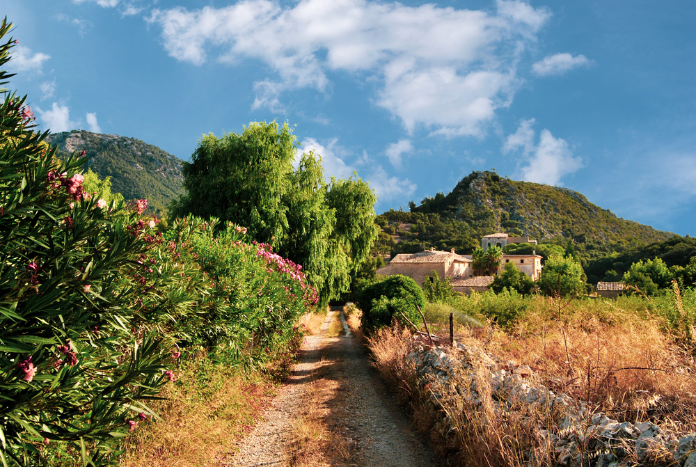 Beautiful,Landscape,Of,Mallorca,,Spain.,Lush,Green,Landscape.,Mountains,Covered